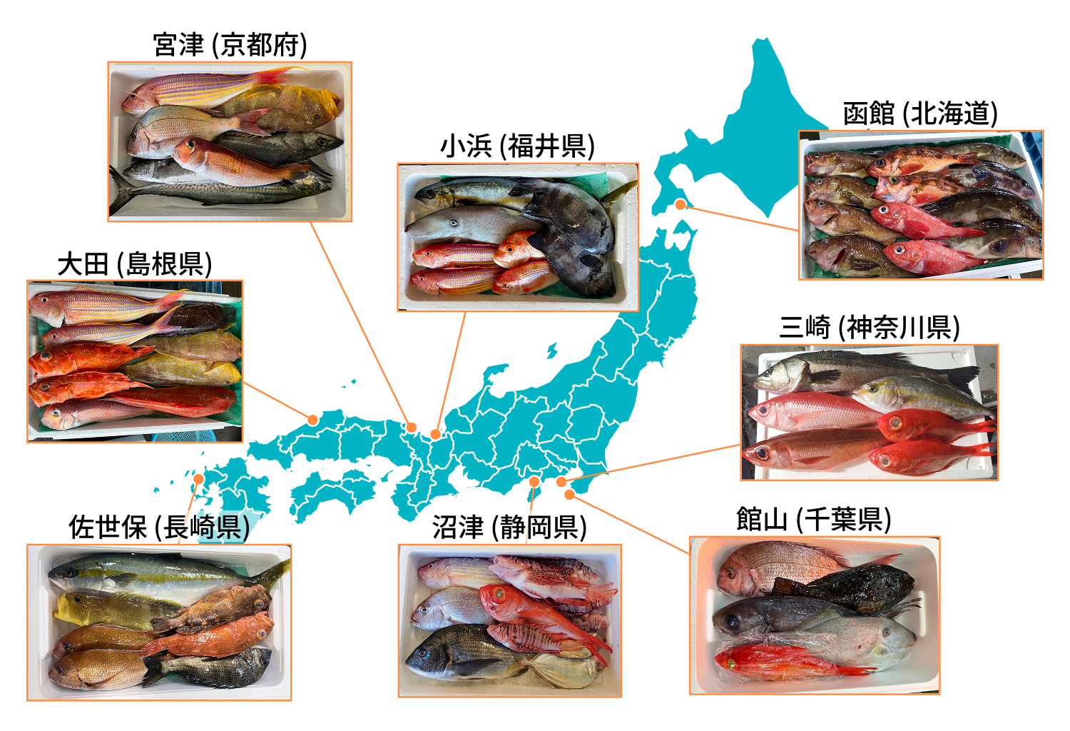 試験運⽤期間に実際に出荷された鮮⿂セットの例