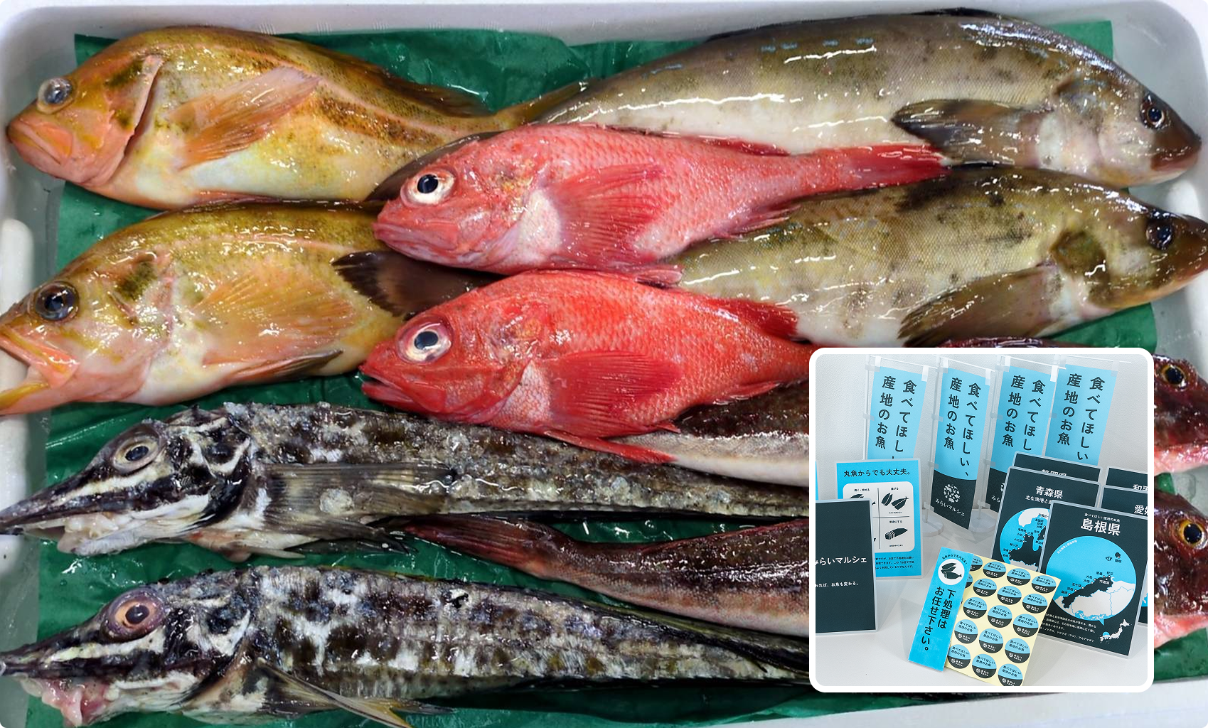 「フェア開催キット」の一例。月ごとに異なる産地の鮮魚と、その月に合わせた販促物が一式で届く